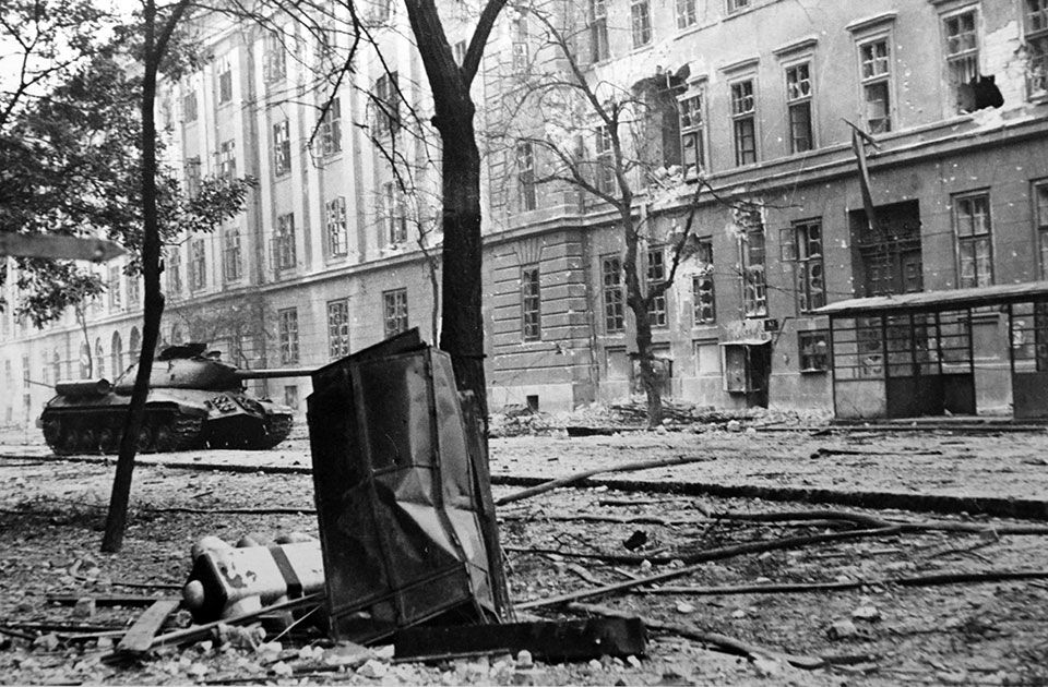 A zajból a „kockacsendbe” - Rajki Márton ügye